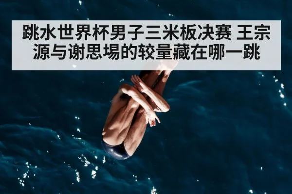 male diver mid air dive