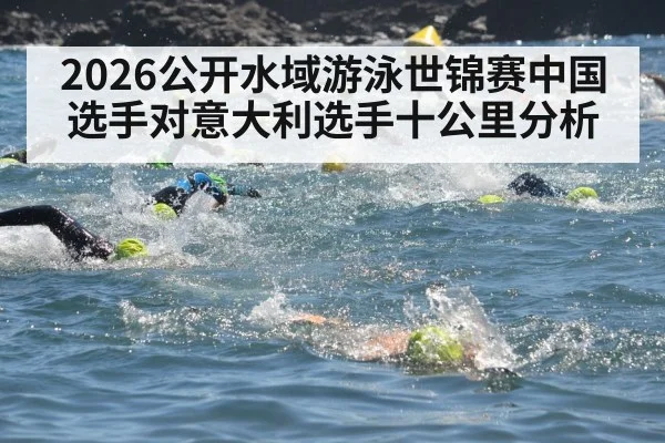 2026公开水域游泳世锦赛中国选手对意大利选手十公里分析